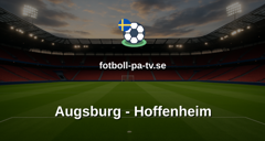 Bundesliga: Augsburg - Hoffenheim