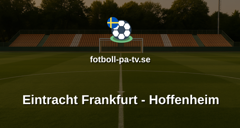 Bundesliga: Eintracht Frankfurt - Hoffenheim