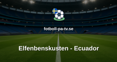 Fotbolls-VM: Elfenbenskusten - Ecuador