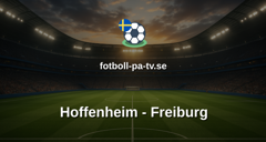 Bundesliga: Hoffenheim - Freiburg