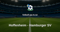 Bundesliga: Hoffenheim - Hamburger SV