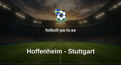 Bundesliga: Hoffenheim - Stuttgart