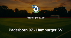 Bundesliga: Paderborn 07 - Hamburger SV