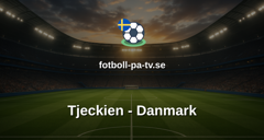 VM-kval: Tjeckien - Danmark