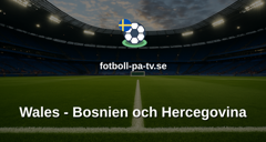 VM-kval: Wales - Bosnien och Hercegovina