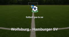 Bundesliga: Wolfsburg - Hamburger SV